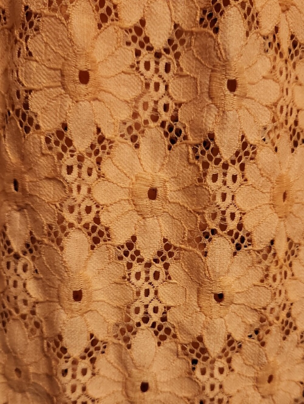 Pilcro Peach Eyelet Peter Pan Collar Keira Blouse - Picture 7 of 11